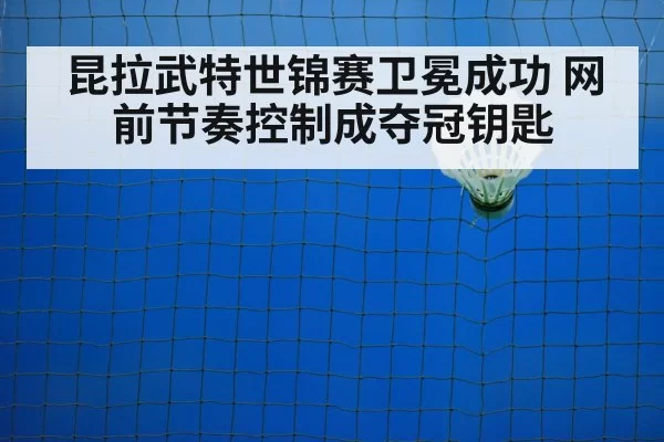 badminton net shot(xingkongyule)