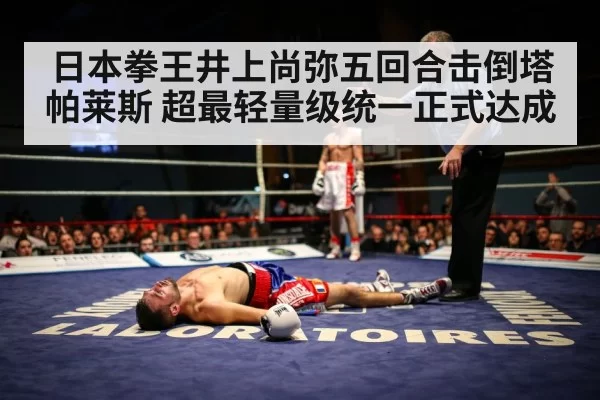 boxing ring knockout（xingkongyule）
